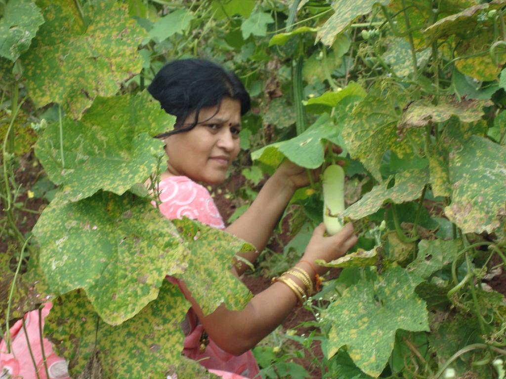 Sneha Farm House Villa Kudal  Bagian luar foto