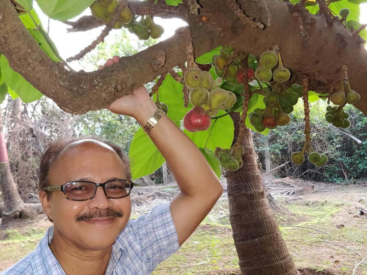 Sneha Farm House Villa Kudal  Bagian luar foto